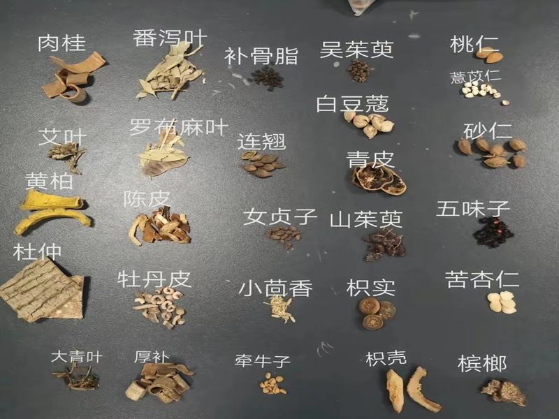 中药材仓储物流，必要崛起