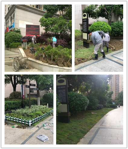 Ag亚洲集团(中国区)官方网站