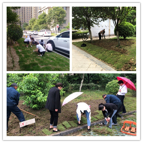 Ag亚洲集团(中国区)官方网站