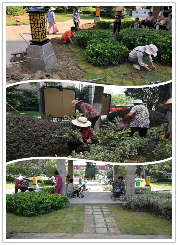 Ag亚洲集团(中国区)官方网站