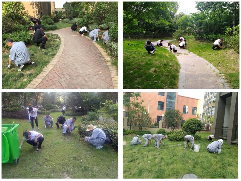 Ag亚洲集团(中国区)官方网站