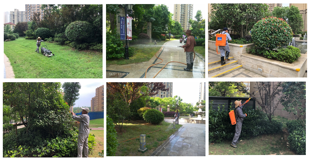 Ag亚洲集团(中国区)官方网站