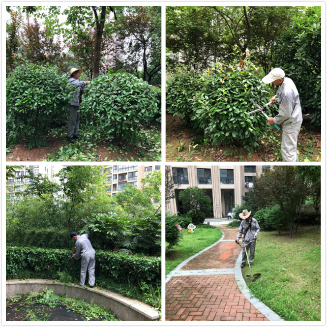 Ag亚洲集团(中国区)官方网站