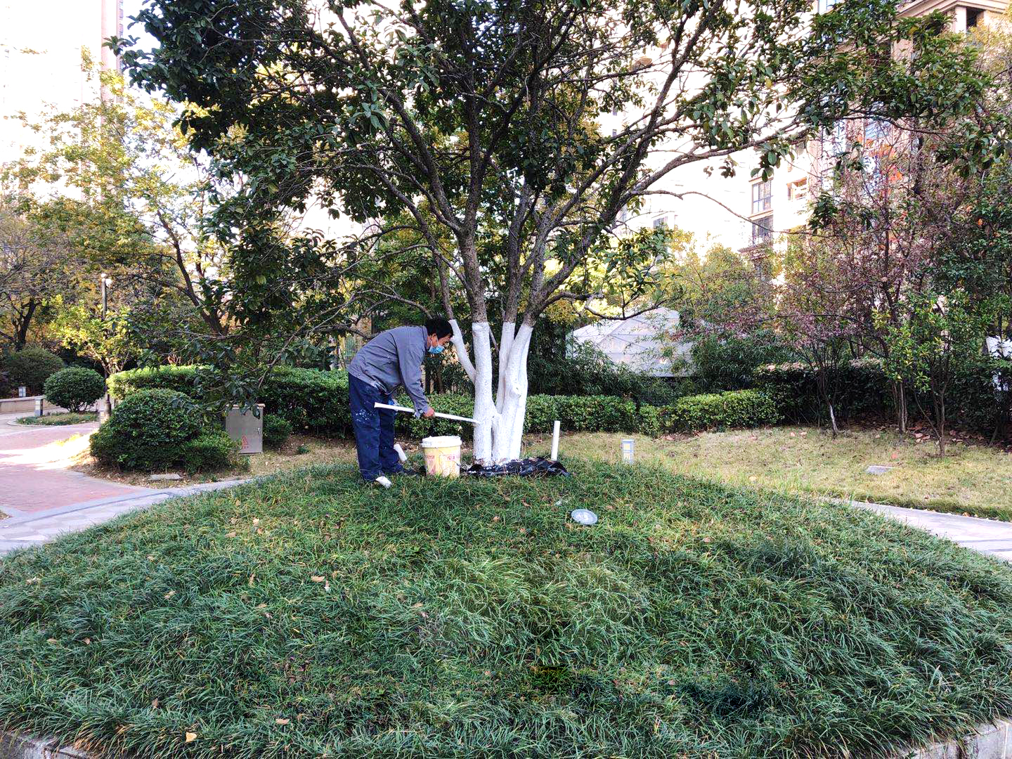 Ag亚洲集团(中国区)官方网站