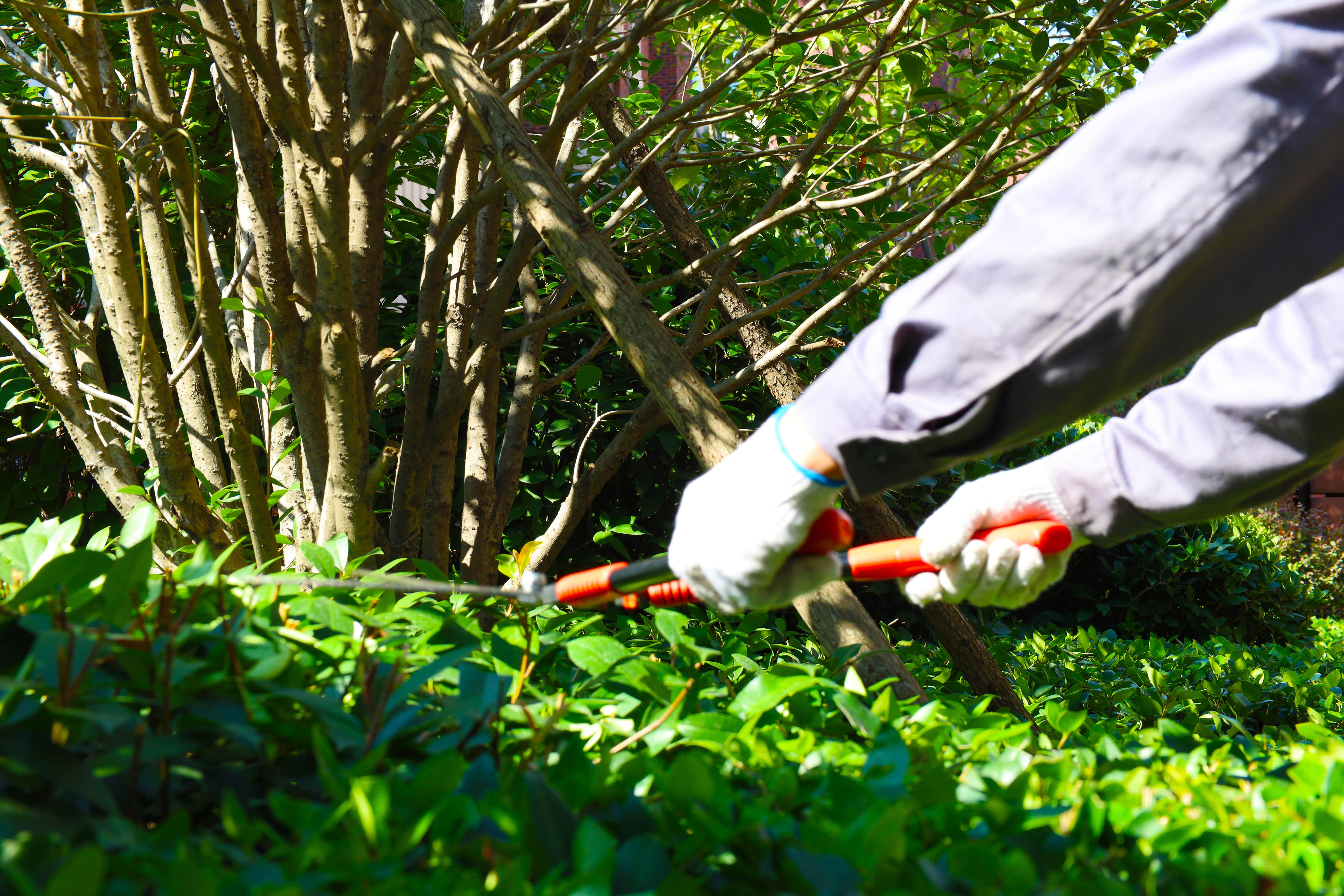 Ag亚洲集团(中国区)官方网站