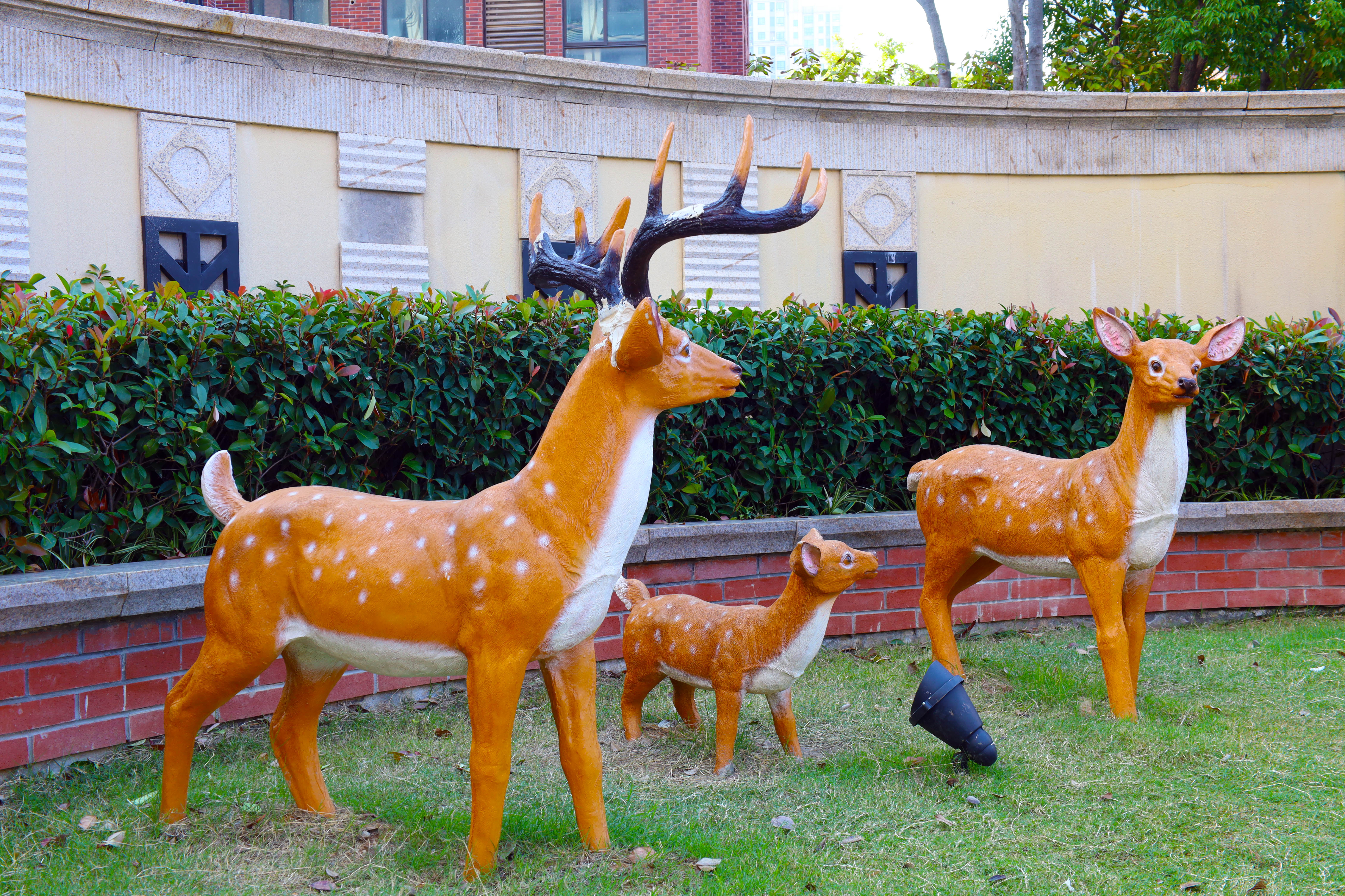 Ag亚洲集团(中国区)官方网站