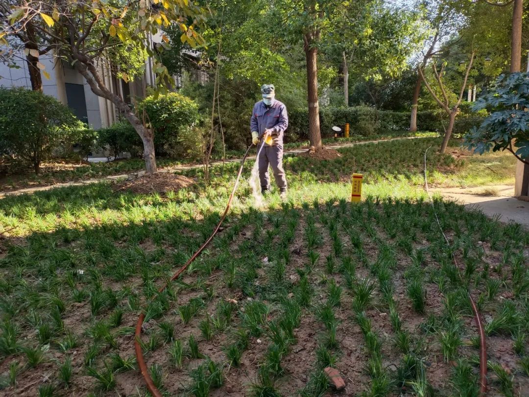 Ag亚洲集团(中国区)官方网站