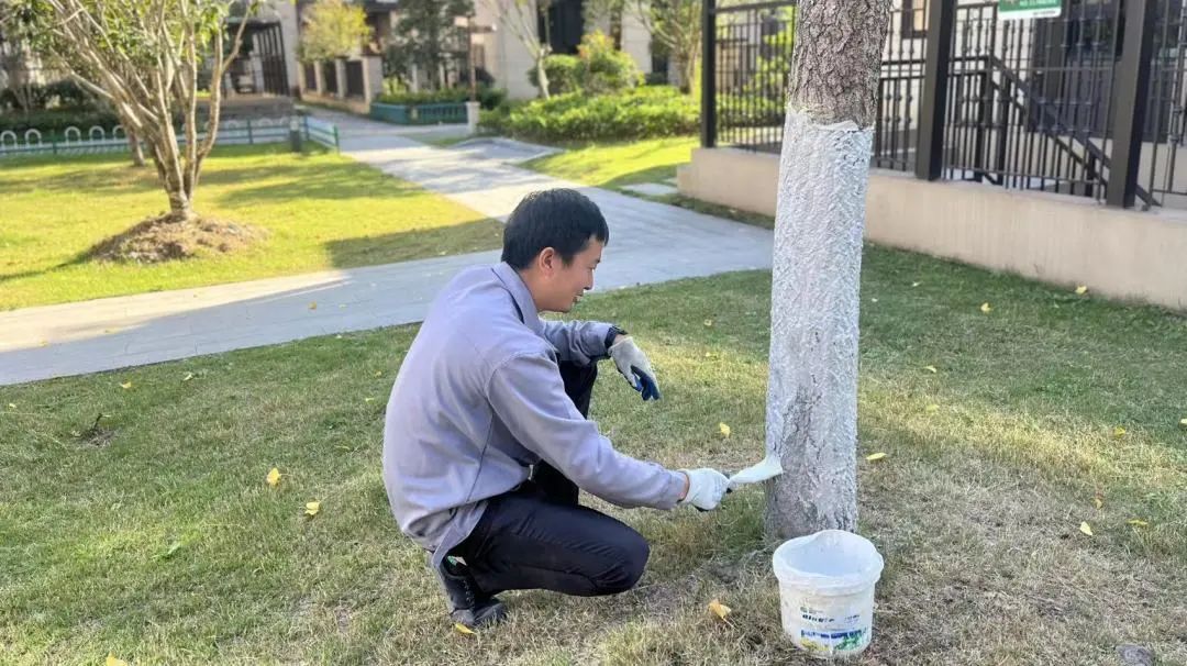 Ag亚洲集团(中国区)官方网站