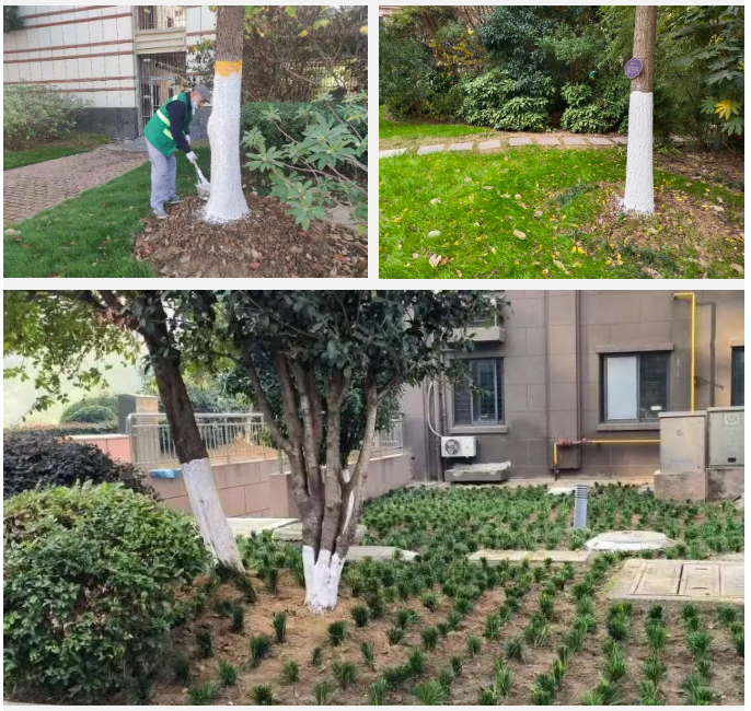 Ag亚洲集团(中国区)官方网站