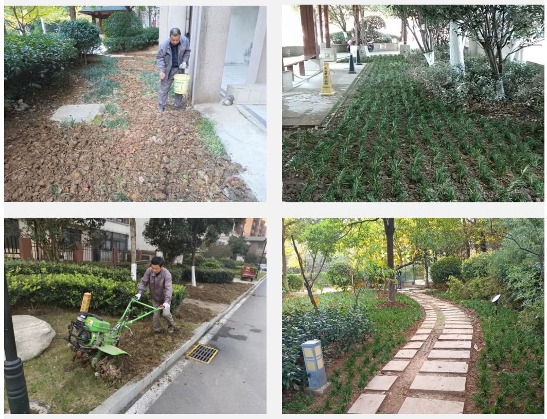 Ag亚洲集团(中国区)官方网站