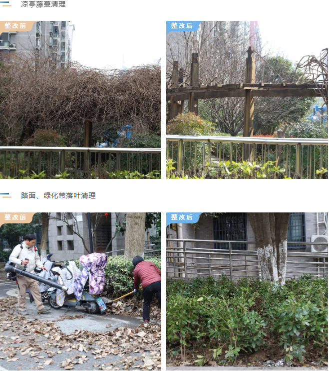 Ag亚洲集团(中国区)官方网站